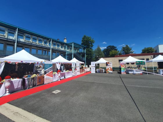 Mobirise Website Builder